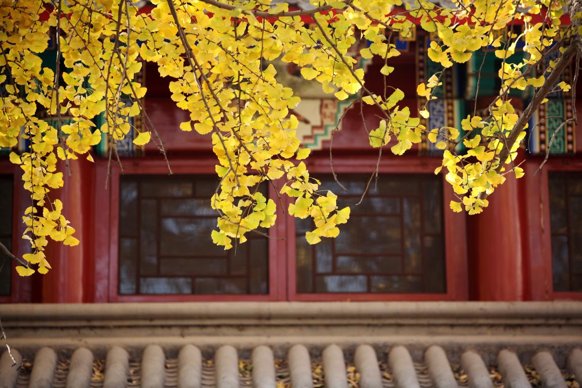 感动 | 确认过眼神，，你是对的人