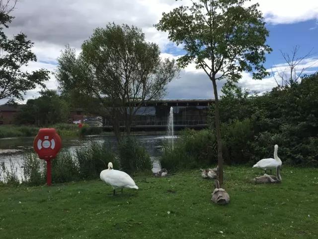 中国·388vip太阳集团(Macau))有限公司-官方网站