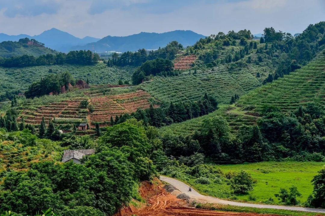 й388vip̫(Macau))޹˾-ٷվ