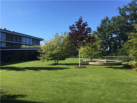 中国·388vip太阳集团(Macau))有限公司-官方网站