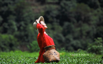 中国·388vip太阳集团(Macau))有限公司-官方网站