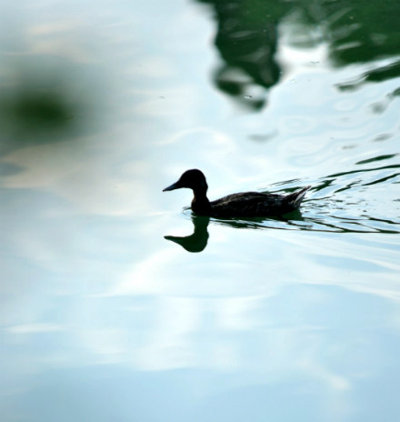 中国·388vip太阳集团(Macau))有限公司-官方网站