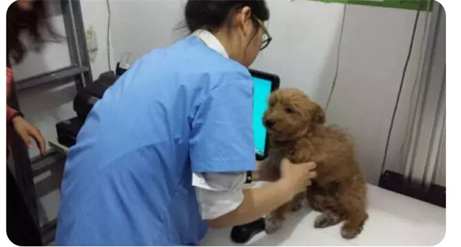 中国·388vip太阳集团(Macau))有限公司-官方网站